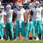 12-facts-about-miami-dolphins-1690184072