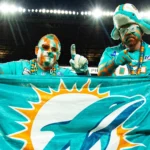 dolphins-fans-miami-e1598364351960