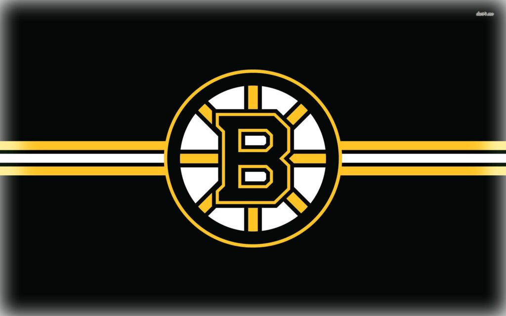 Finally Concluded: The Boston Bruins Has Finally Announce One Of The Most Respected NHL Star, As Top Prospect For The 2024-25 Season?