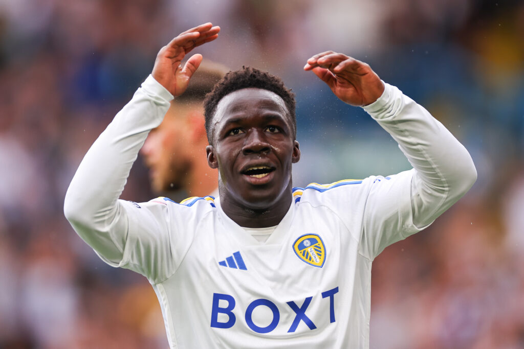 Leeds United v Cardiff City - Sky Bet Championship